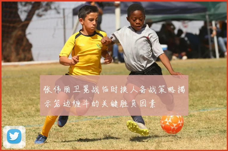 张伟丽卫冕战临时换人备战策略揭示笼边缠斗的关键胜负因素